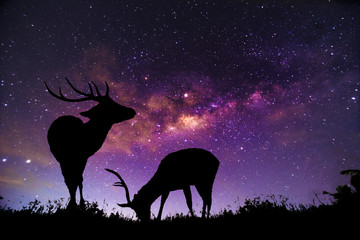The deer image stands in the Milky Way constellation.