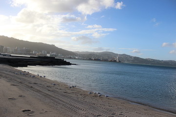 Oriental Bay