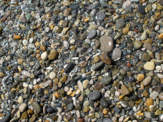 Sea pebbles background on a sunny day