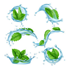 Fresh water mint. Liquid splashes with green menthol leaf for drink vector realistic collection. Illustration of menthol leaf and mint fresh © ONYXprj
