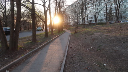 road in the country