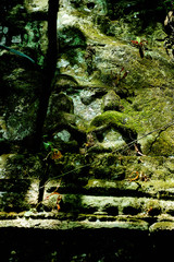 Bas-relief stone carving, Angkor Wat, Siem Reap, Cambodia