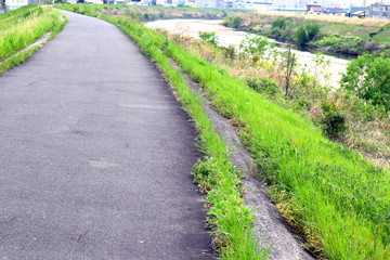 Obraz premium ランニングに最適な小道