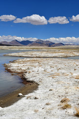 Strongly saline lake Ruldan (Nak) in Tibet, China