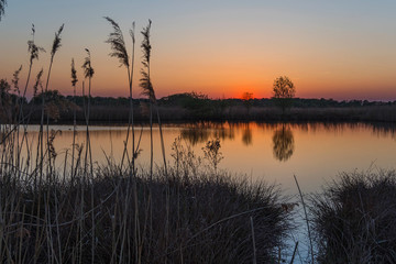 Rieselfelder sunset light sunny day nature