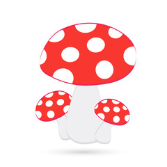  RED MUSHROOM 