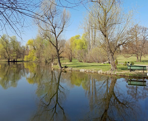 Fototapeta na wymiar Beautiful lake and trees reflect in the water