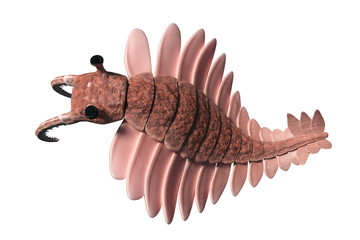 Anomalocaris, creature of the Cambrian period, top view, isolated on white background (3d science illustration)