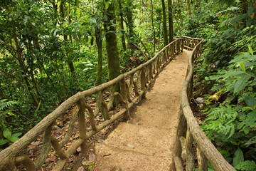 Access to the base of the waterfall on Rio Celeste in Parque Nacional Volcan Tenorio in Costa Rica