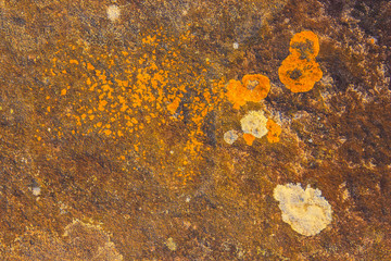 Beautiful patterns and colors on the rocks from natural corrosion texture background. Green moss on stone.