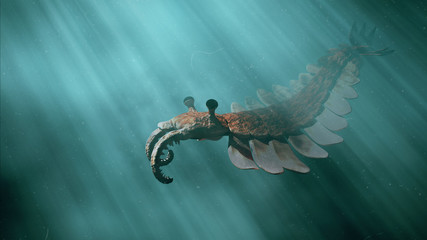 Anomalocaris, prehistoric creature of the Cambrian period (3d science illustration)