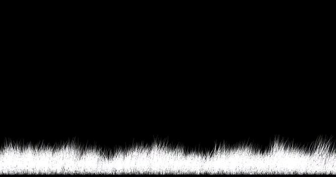 Faded grass sways in the wind. Seamless looping (loop). Transparent background, alpha channel and luma matte 59,94 fps