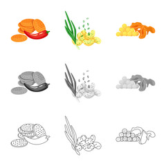 Isolated object of taste and seasonin logo. Set of taste and organic   stock symbol for web.