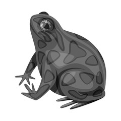 Vector illustration of toad and biology logo. Set of toad and tropical vector icon for stock.