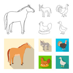 Isolated object of breeding and kitchen  icon. Collection of breeding and organic  vector icon for stock.