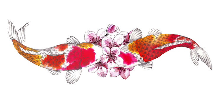Koi Fish Watercolor Images – Browse 3,397 Stock Photos, Vectors, And Video  | Adobe Stock