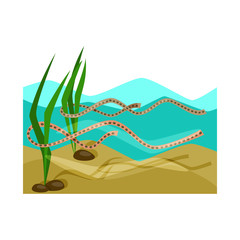 Isolated object of wetland and grass icon. Collection of wetland and ecology stock vector illustration.