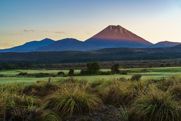 Obraz premium Cone volcano,sunrise,Mount Ngauruhoe,New Zealand 11