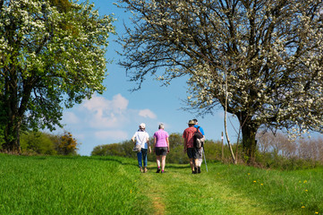 Saarland Landschaft Senioren Wanderer im Frühling bei Gisingen