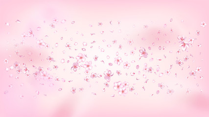 Nice Sakura Blossom Isolated Vector. Realistic Falling 3d Petals Wedding Border. Japanese Funky Flowers Illustration. Valentine, Mother's Day Tender Nice Sakura Blossom Isolated on Rose