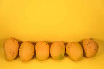 Fresh Mango on yellow background