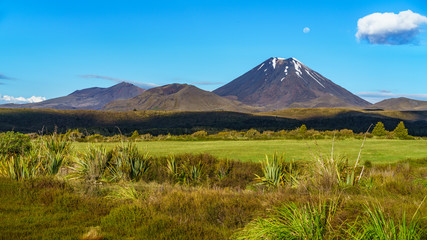 Fototapeta premium cone volcano,mount ngauruhoe,tongariro,new zealand 17