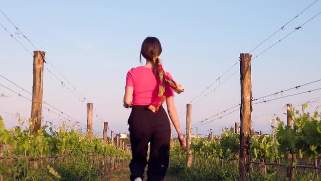 Bellissima ragazza con maglia rosa e pantaloni neri corre allegramente in campagna tra le vigne.