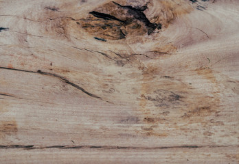 Old wood texture