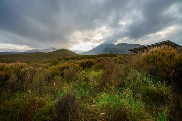 tongariro alpine crossing,cloudy, new zealand 1