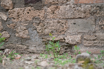 Industrial background, brick wall with weed. For texture or background