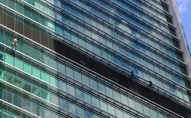 Obraz premium Window washers cleaning the windows of a modern skyscraper in a business district. Cleaning team at work on the facade of an office building