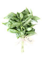 Green basil leafs isolated on white background