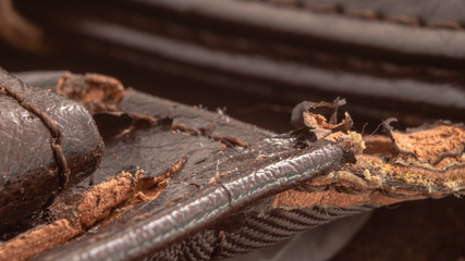 macro photo of old torn brown wallet with money bills