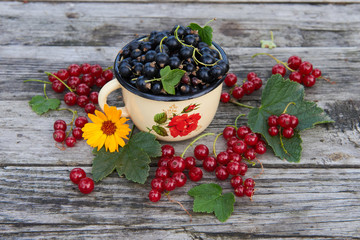 A cup of fresh berries on a gray wooden table. Red and black currant with green leaves and flower. Top view. 