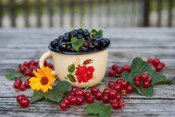 A cup of fresh berries on a gray wooden table. Red and black currant with green leaves and flower. Top view. 