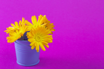 Yellow flowers. Calendula.