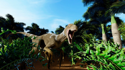Predatory dinosaur