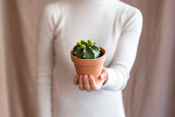 Woman holding a cactus pot