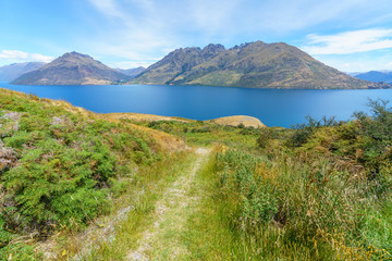 Obraz premium hiking jacks point track with view of lake wakatipu, queenstown, new zealand 12
