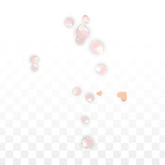 Vector Realistic Petals and Hearts Confetti. Flying Sakura and Hearts on Transparent Background. Wedding Invitation Background. Spring Romance Poster. Vector Illustration for Anniversary Design.