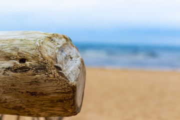 An old log on a beach and Baltic sea on background