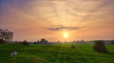 Fototapeta premium sunset over green field