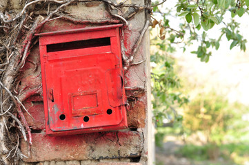Old beautiful red mail box on a wall is intertwined with wood