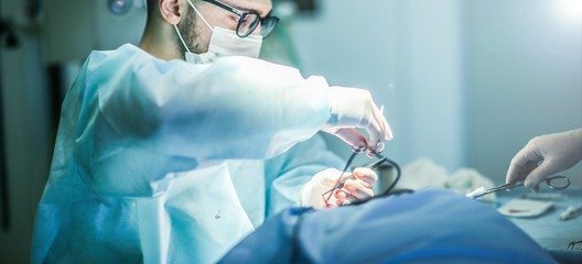 Young male plastic surgeon operates in the operating room of a medical center.