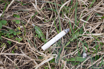 Cigarette on the grass the danger of a forest fire