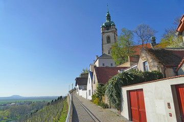 Fototapeta premium Panoramic view above Labe River and Melnik town with vineyard
