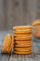 Fototapeta na wymiar Sandwich, ginger healthy biscuits with cream , close up, isolated. Cookies for tea or snack.