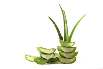 Aloe vera on a white background. Natural care products. Moisturizing and skin care.