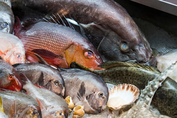 Background of fresh seafood fish clams crabs