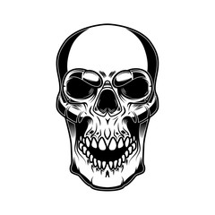 Skull illustration isolated on white background. Design elements for logo, label, sign, badge, poster.